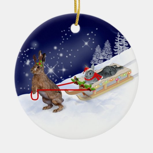 Sleigh Ride Ornament (Vorne)