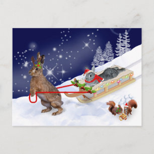 Sleigh Ride Postcard Postkarte