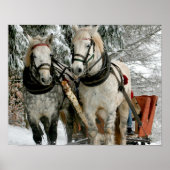 Sleigh Ride Poster (Vorne)