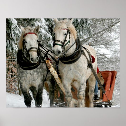 Sleigh Ride Poster (Vorne)