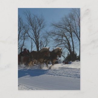 Sleigh ride Stowe Vermont Postkarte