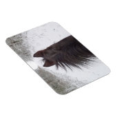 Sleigh View Black Horse, Snowy Tree Lined Road Magnet (Rechte Seite)