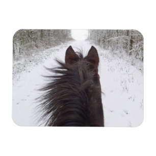 Sleigh View Black Horse, Snowy Tree Lined Road Magnet