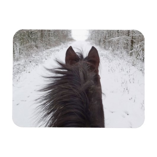 Sleigh View Black Horse, Snowy Tree Lined Road Magnet (Horizontal)