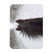 Sleigh View Black Horse, Snowy Tree Lined Road Magnet (Vertikal)