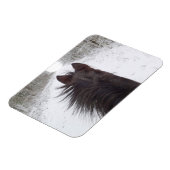 Sleigh View Black Horse, Snowy Tree Lined Road Magnet (Linke Seite)