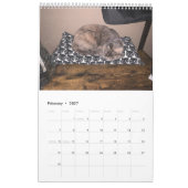 Sleuth o' Floofs Calendar Kalender (Feb 2027)