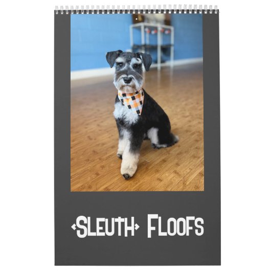Sleuth o' Floofs Calendar Kalender (Titelbild)