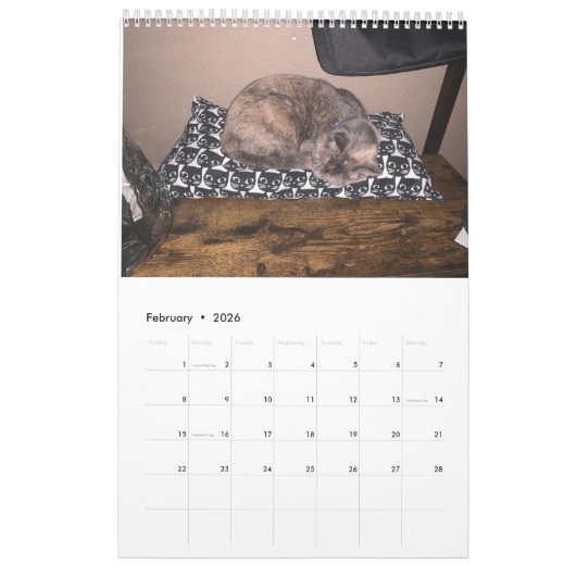 Sleuth o' Floofs Kalender 18 Monate (Feb 2026)