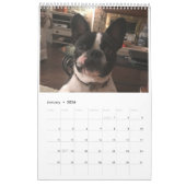 Sleuth o' Floofs Kalender 18 Monate (Jan 2026)