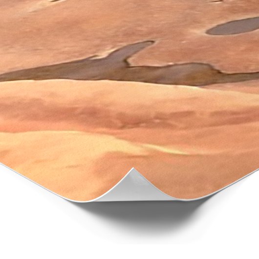 Slide Rock Staat Park Poster (Ecke)