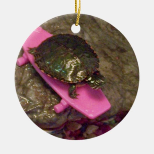 Slider Turtle Weihnachtsschmuck (Vorne)