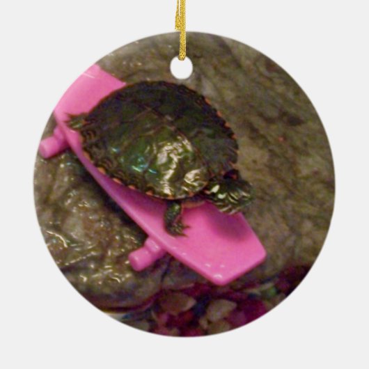 Slider Turtle Weihnachtsschmuck (Hinten)