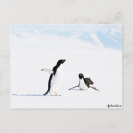 Sliding Adelie Penguin und Friend Postkarte