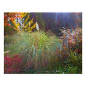 Slight Sun Rays Fotodruck (Vorne)