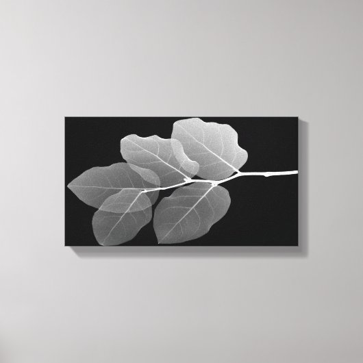 Slim Gerahmt Stretched Canvas Print - XRay New Bud Leinwanddruck (Vorderseite)