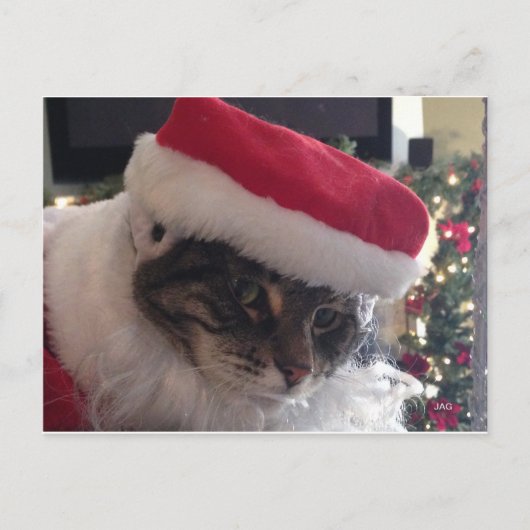 Slim Kitty Santa Card Feiertagspostkarte (Vorderseite)