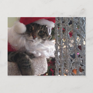 Slim Kitty Santa und der Glitzer Tree Feiertagspostkarte