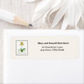 Slipper Orchid (Insitu)