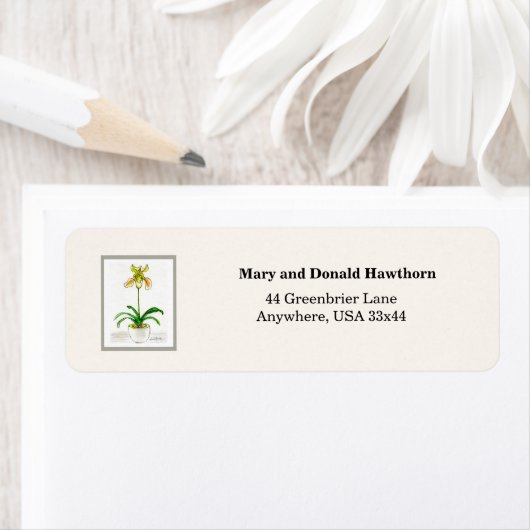 Slipper Orchid (Insitu)