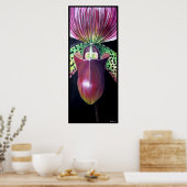 Slipper Orchid Poster (Küche)