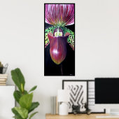 Slipper Orchid Poster (Heimbüro)