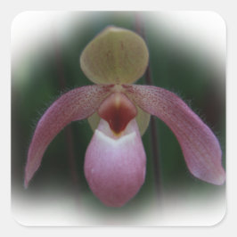 Slipper Orchid Quadratischer Aufkleber