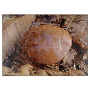 Slippery Jack Mushroom Glas Chassis Schneidebrett