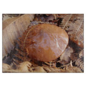 Slippery Jack Mushroom Glass Chopping Board Schneidebrett (Vorderseite)