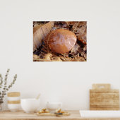 Slippery Jack Mushroom Poster (Küche)