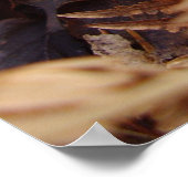 Slippery Jack Mushroom Poster (Ecke)