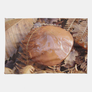 Slippery Jack Pilzhandtuch Handtuch