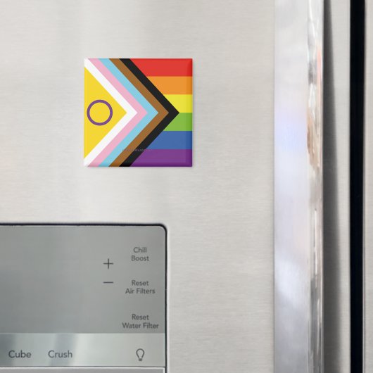 SlipperyJoe Intersex Progress Flag Regenbogen Magnet (In Situ (Kühlschrank))