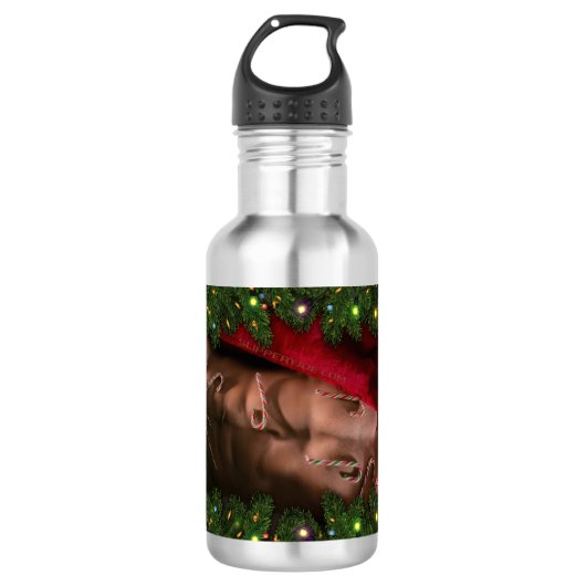 SlipperyJoe männliche Brustkorb Sechserpack Bauchs Edelstahlflasche (Vorderseite)
