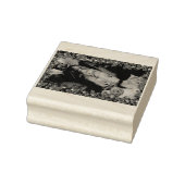 SlipperyJoe männliche Brustkorb Sechserpack Bauchs Gummistempel (Stempel)