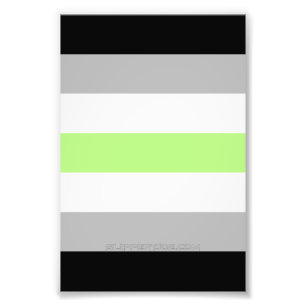 SlipperyJoe's Agender Pride Flag Gay Geschenke LGB Fotodruck