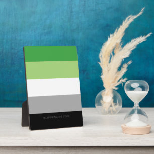 SlipperyJoe's Aromtic Pride Flag Gay Geschenke LGB Fotoplatte
