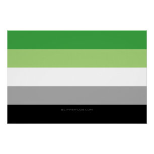 SlipperyJoe's Aromtic Pride Flag Gay Geschenke LGB Poster