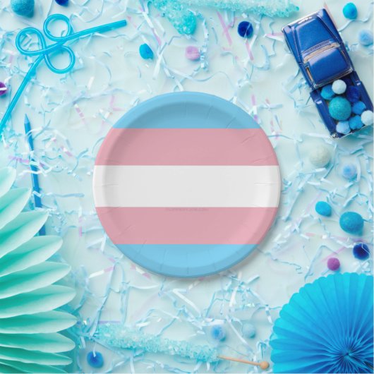 SlipperyJoe's Diversity-Markierung für Transgender Pappteller (Party)