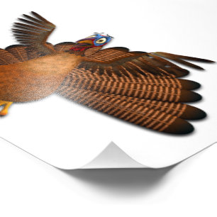 SlipperyJoe's Erntedank Truthahnflügel bunt f Fotodruck
