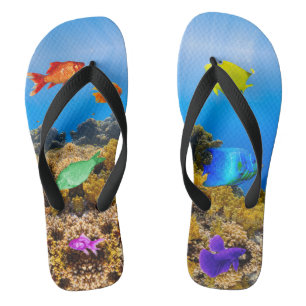 SlipperyJoe's Fish Pride tropisch-grüne blaue Purp Badesandalen