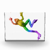 SlipperyJoe's Pride Frog-Figur Lebhaft farbig Fotoblock (Vorderseite)