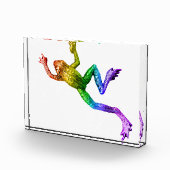 SlipperyJoe's Pride Frog-Figur Lebhaft farbig Fotoblock (Rechts)