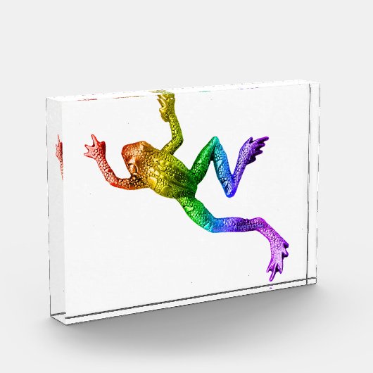 SlipperyJoe's Pride Frog-Figur Lebhaft farbig Fotoblock (Links)