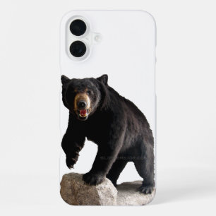 SlipperyJoe's Schwarzbär dickes dunkles Fell majes iPhone 16 Plus Hülle