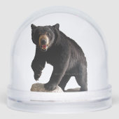 SlipperyJoe's schwarzer Bär dicken dunklen Pelz ma Schneekugeln (Vorderseite)