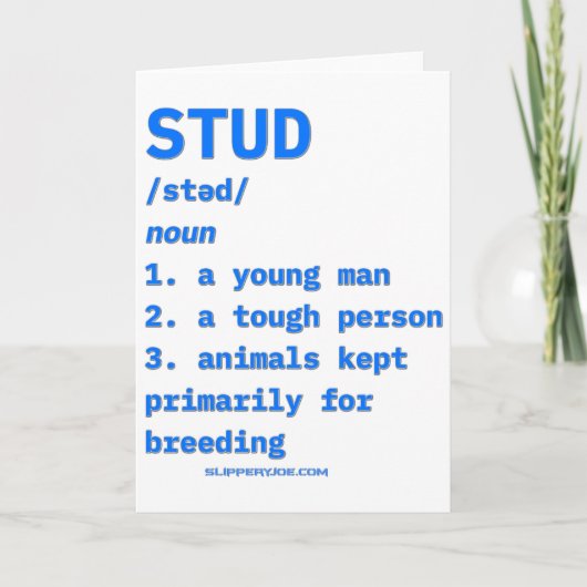 Slipperyjoes Stud Definition Tiere Wörterbuch B  Karte (Vorderseite)