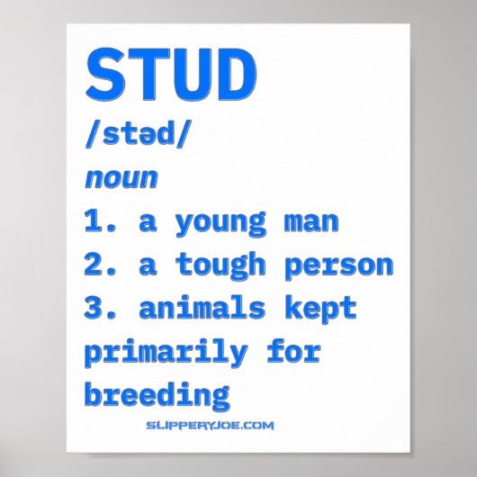 Slipperyjoes Stud Definition Tiere Wörterbuch B Poster (Vorne)