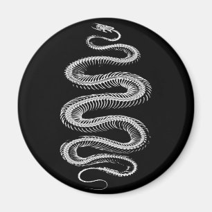 Slithering Snake Skeleton Magnet