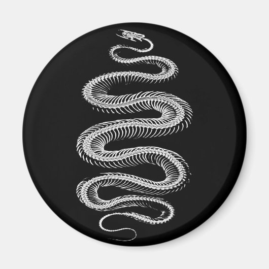 Slithering Snake Skeleton Magnet (Vorne)